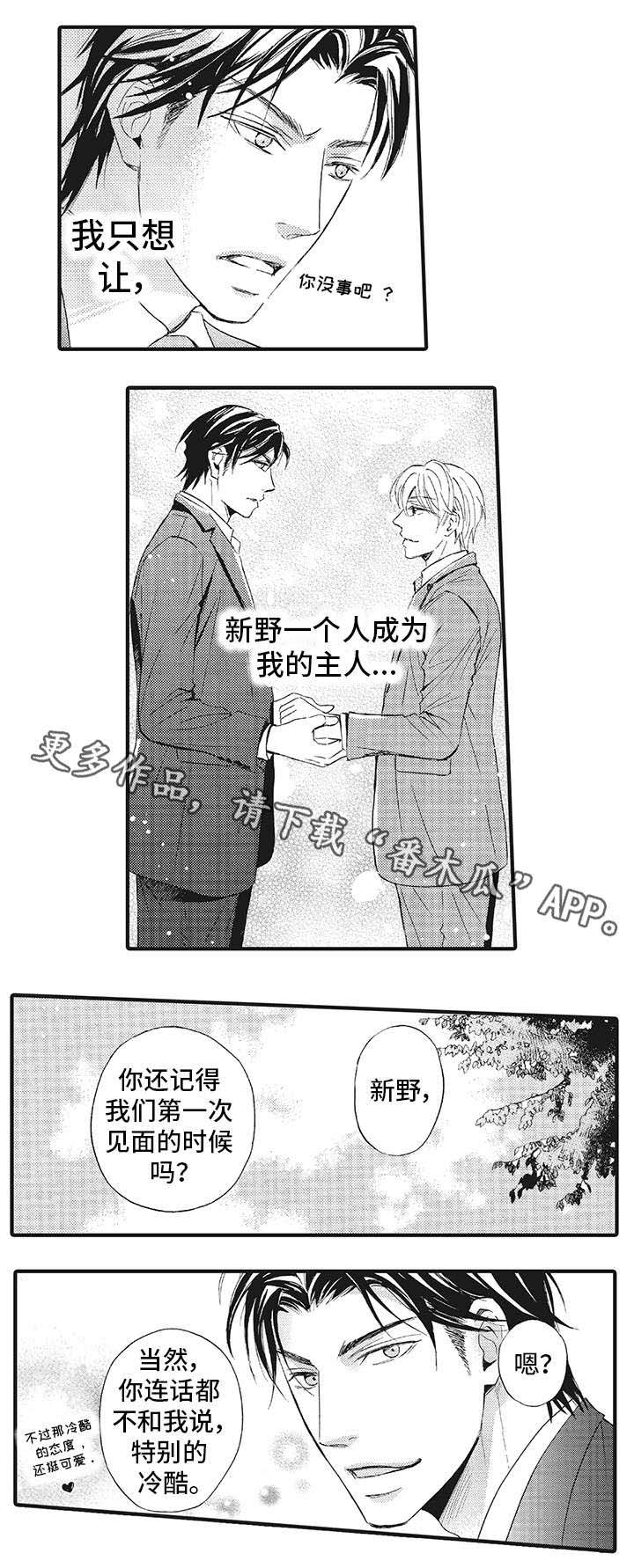 厄运巫师 第21章：别再回来（完结） 第9页