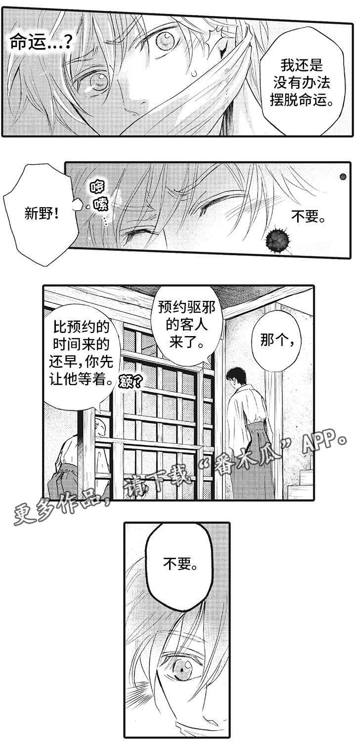 厄运巫师 第18章：不要 第8页