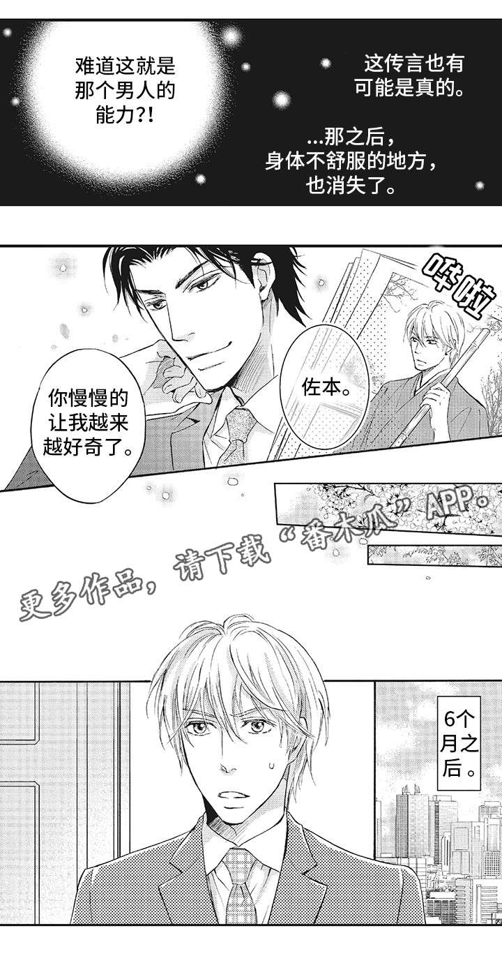 厄运巫师 第4章：手 第1页