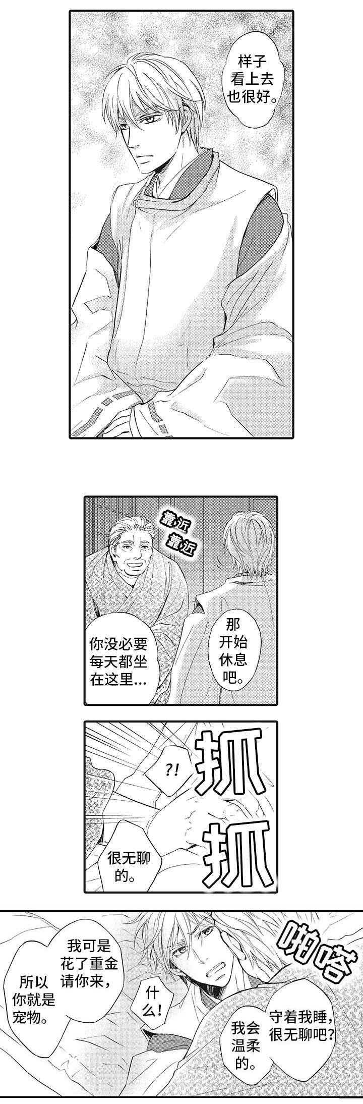 厄运巫师 第2章：抗拒 第11页