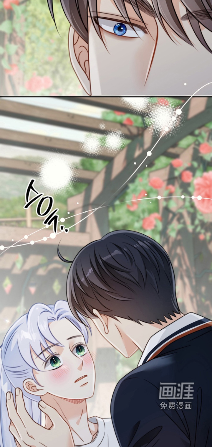 偷心情狐 第189话 第26页