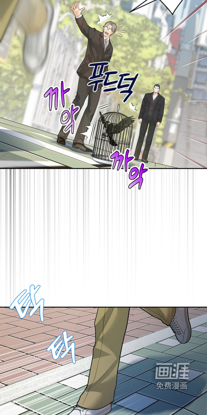 偷心情狐 第148话 第11页