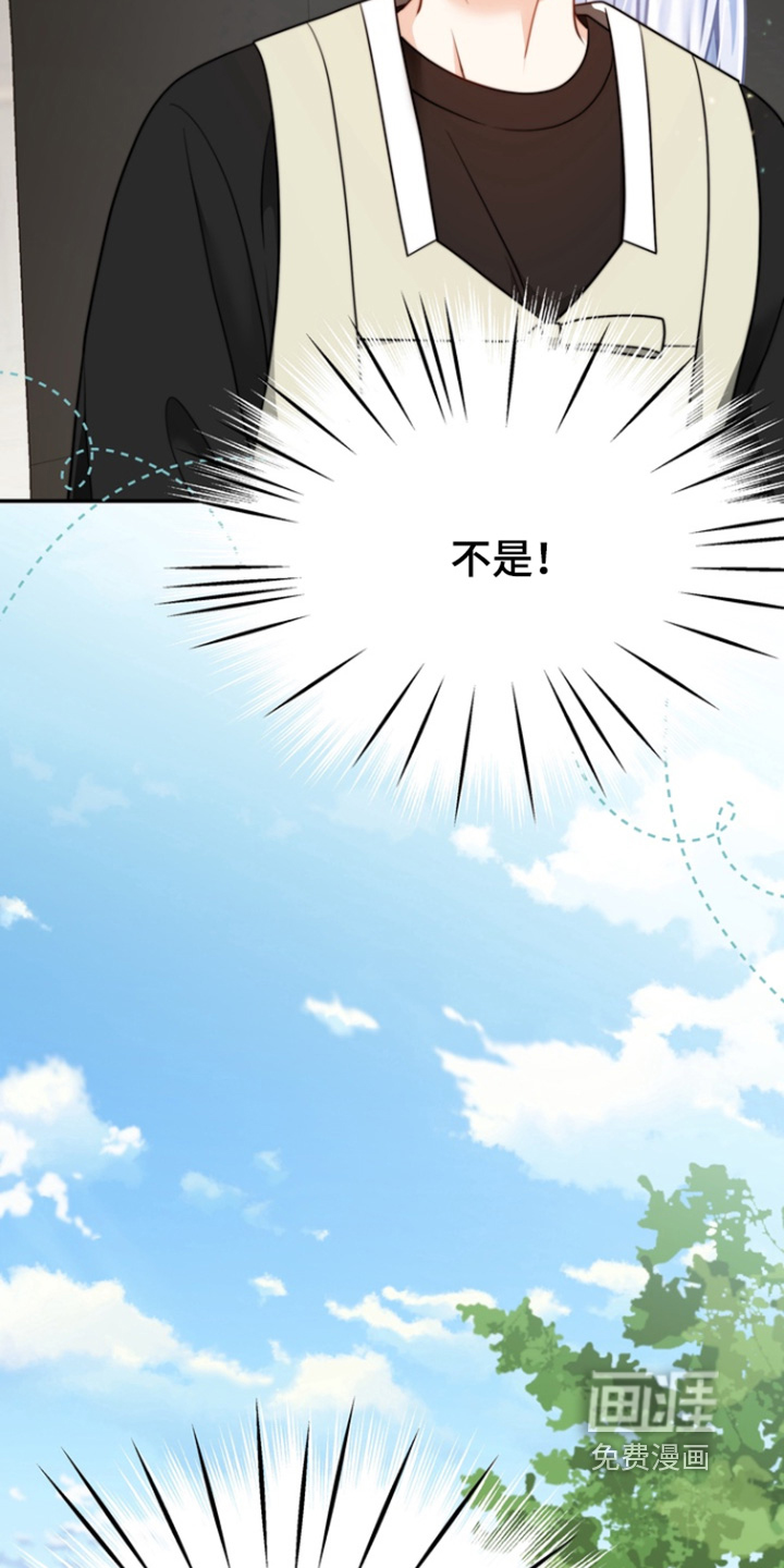 偷心情狐 第206话 第33页