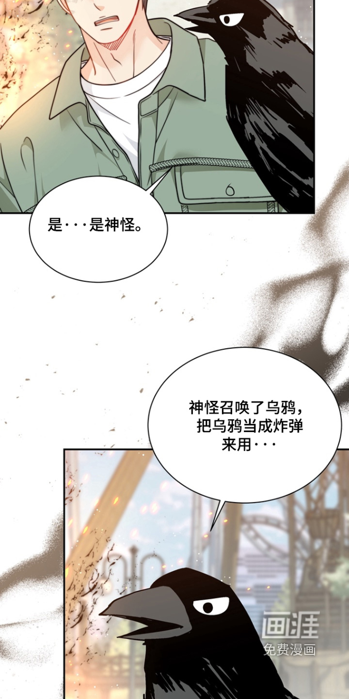 偷心情狐 第209话 第5页
