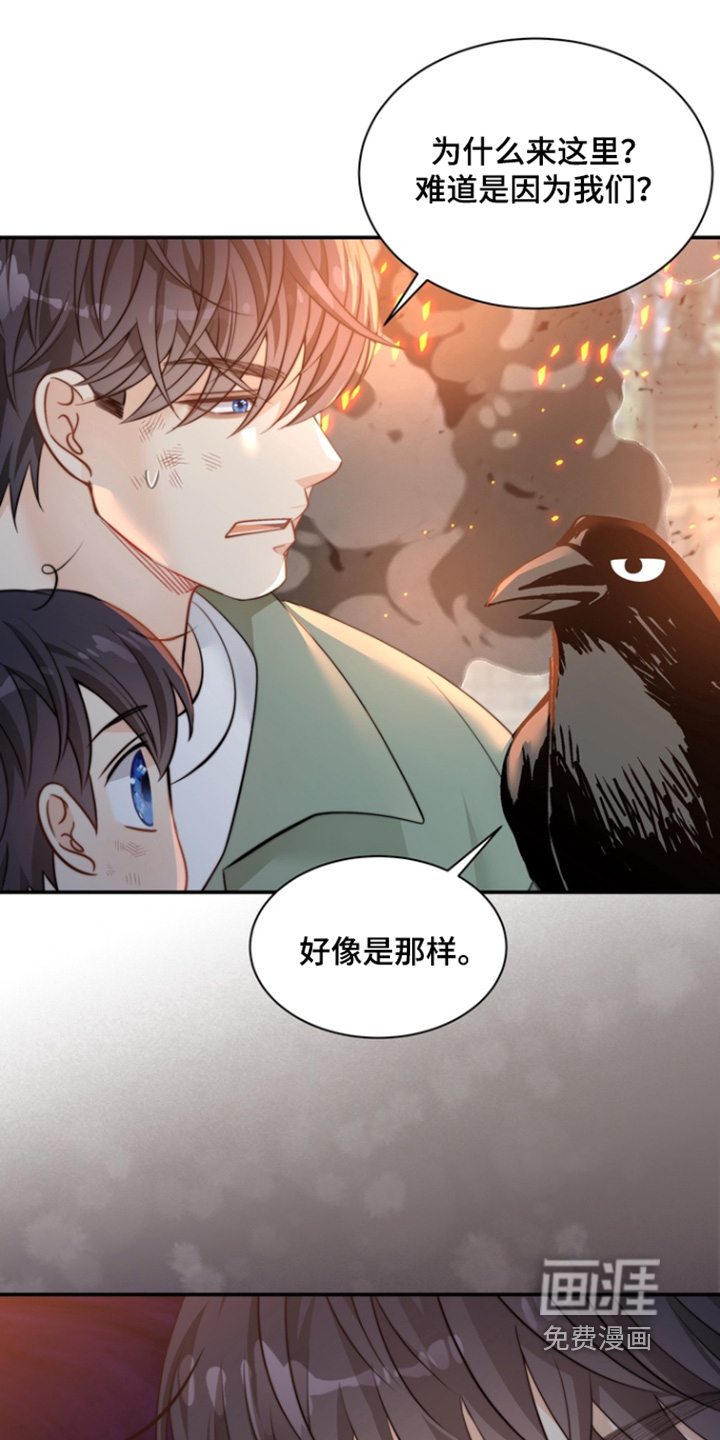 偷心情狐 第209话 第7页