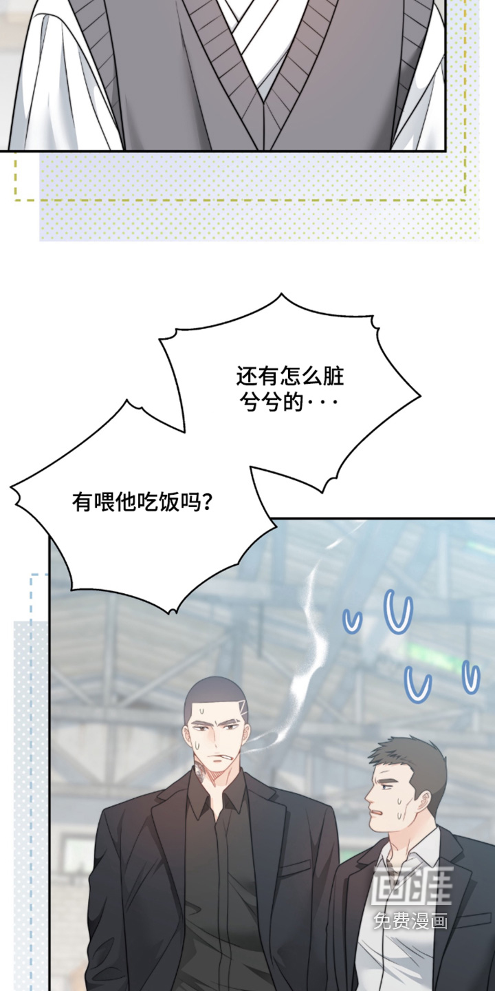 偷心情狐 第223话 第8页