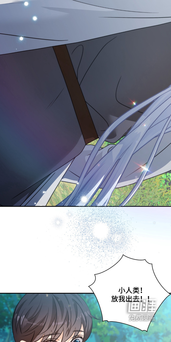 偷心情狐 第228话 第12页