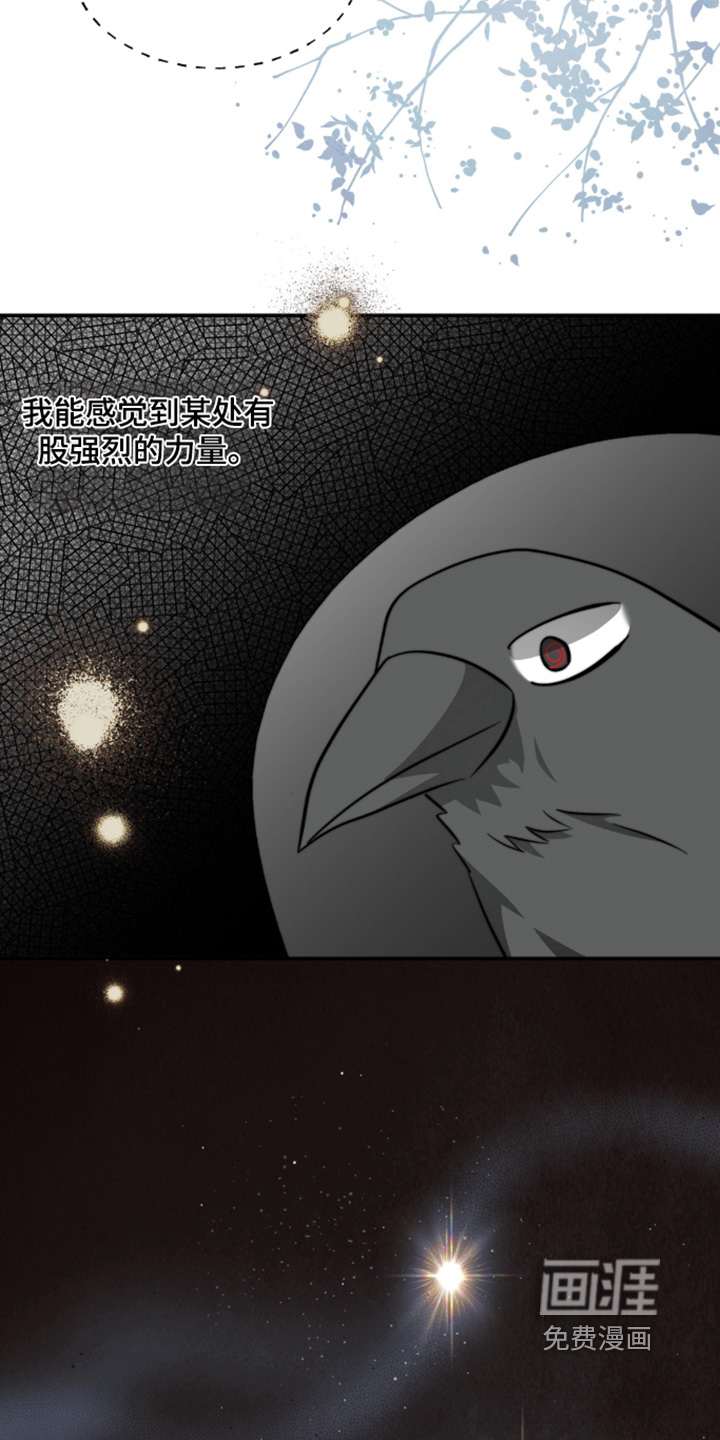 偷心情狐 第226话 第21页