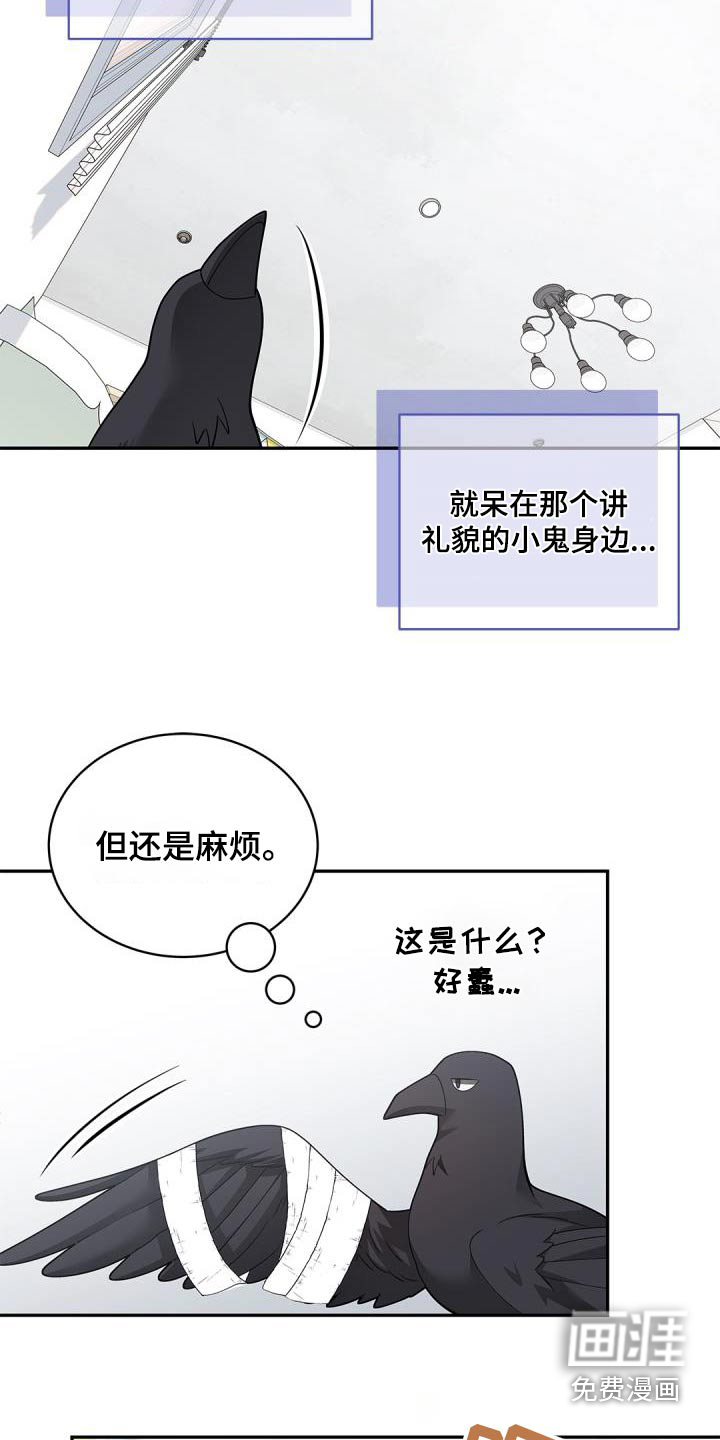 偷心情狐 第64话 第11页