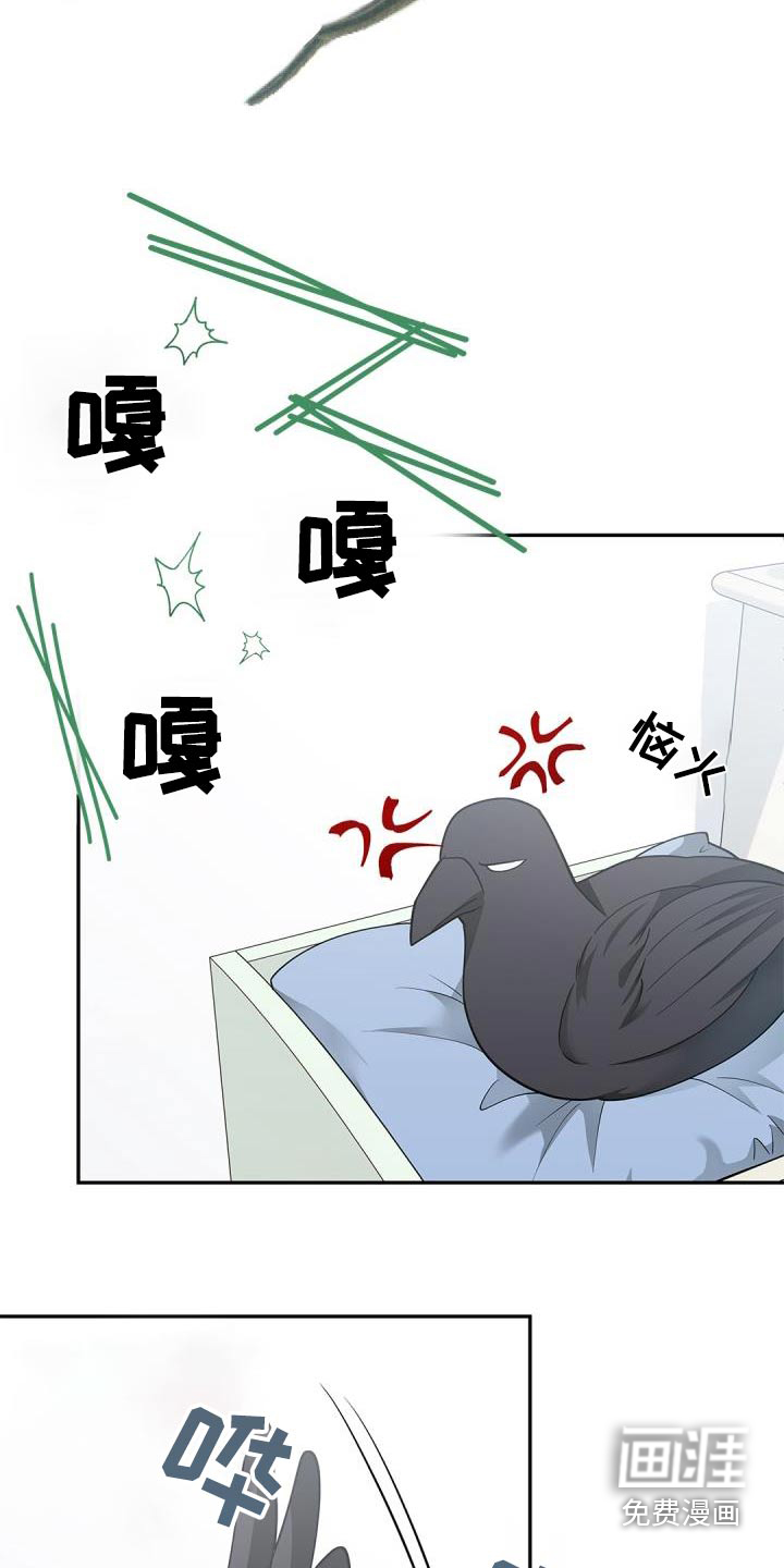 偷心情狐 第64话 第6页