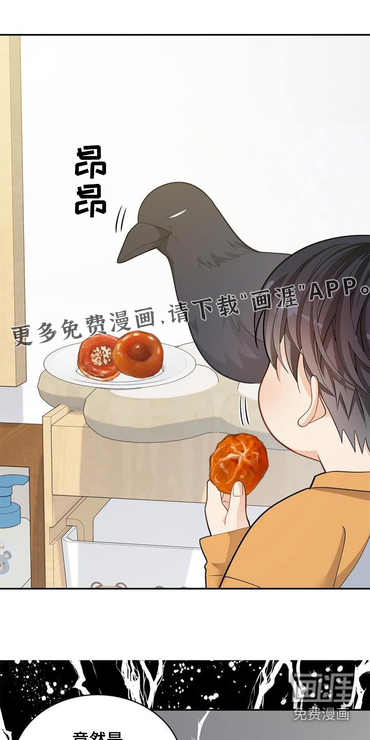 偷心情狐 第66话 第1页