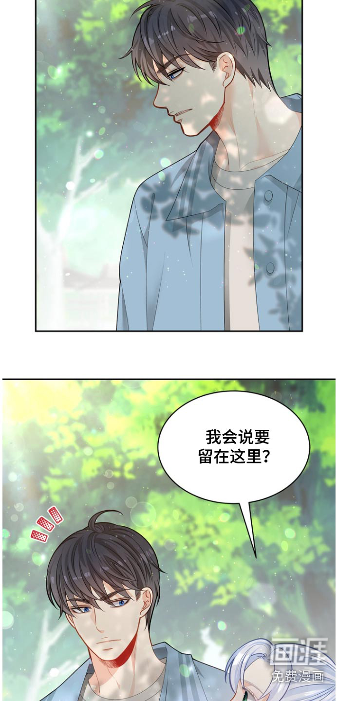 偷心情狐 第125话 第5页