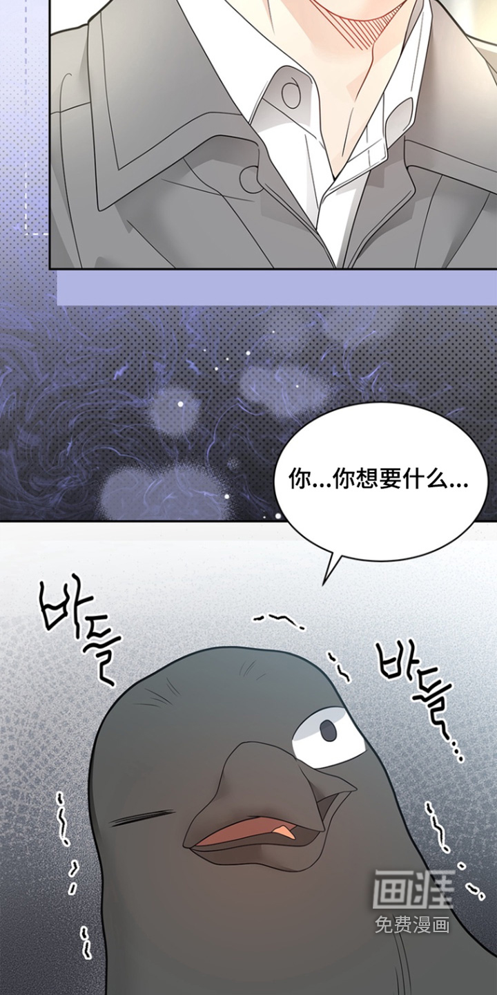 偷心情狐 第182话 第33页