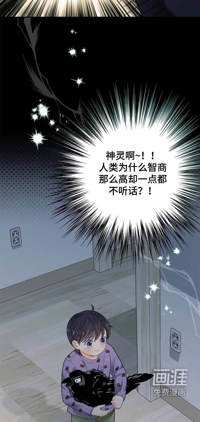 偷心情狐 第177话 第11页