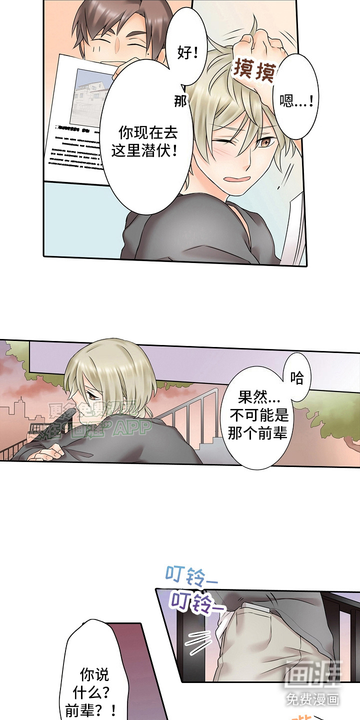 缉毒黑帮 第12话 第16页