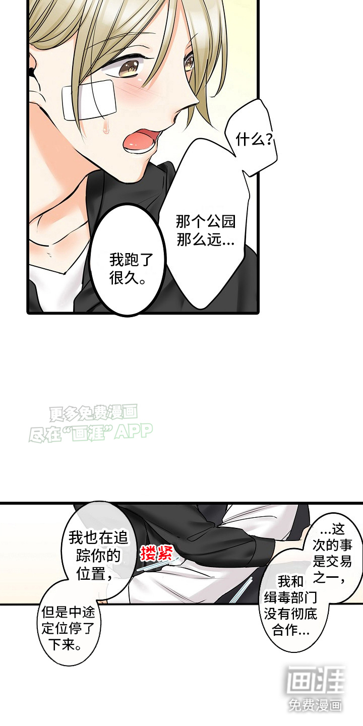 缉毒黑帮 第31话 第10页
