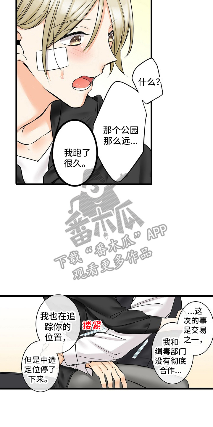 缉毒黑帮 第36话 第10页