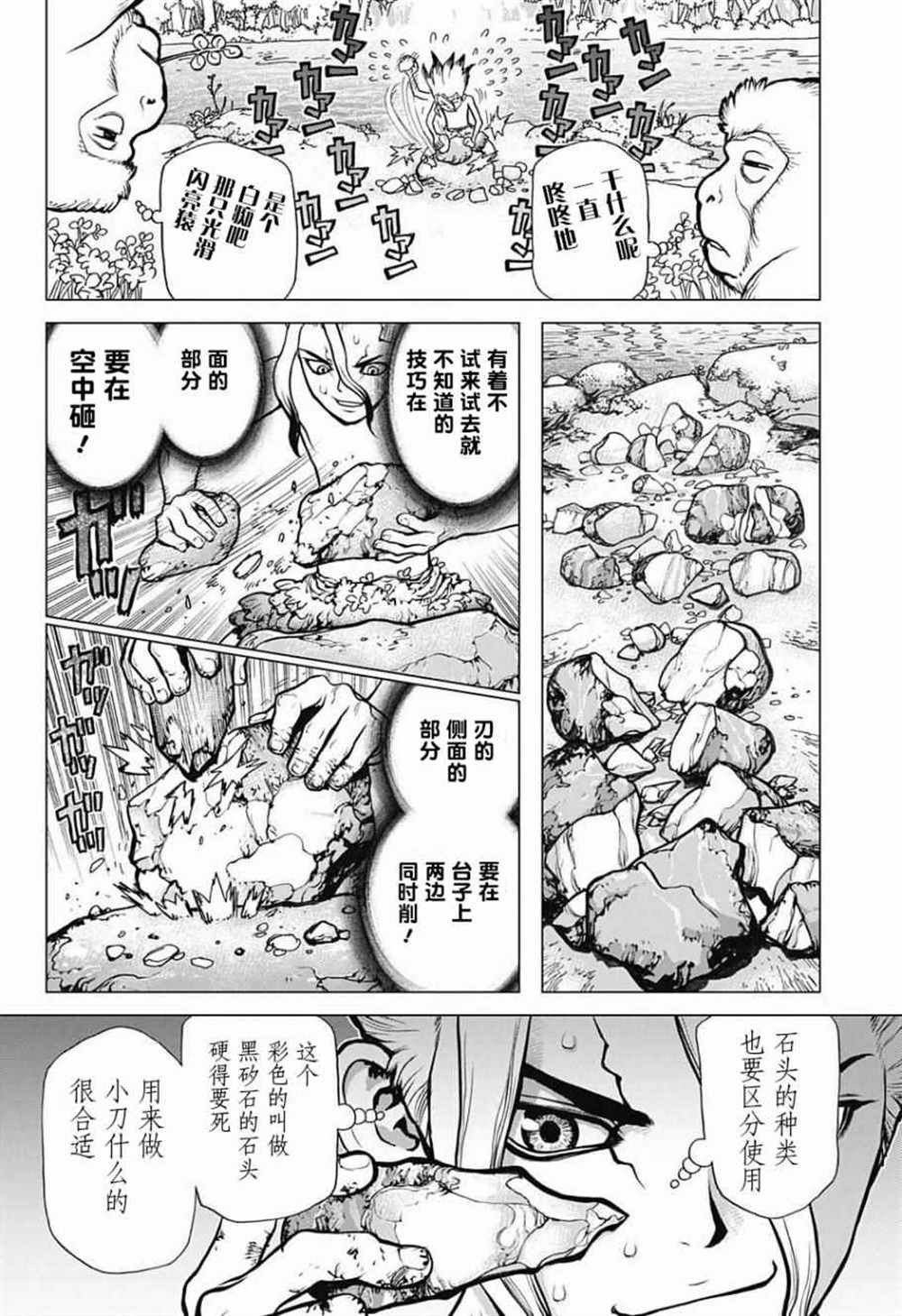 石纪元（Dr.Stone） 第13话 第11页