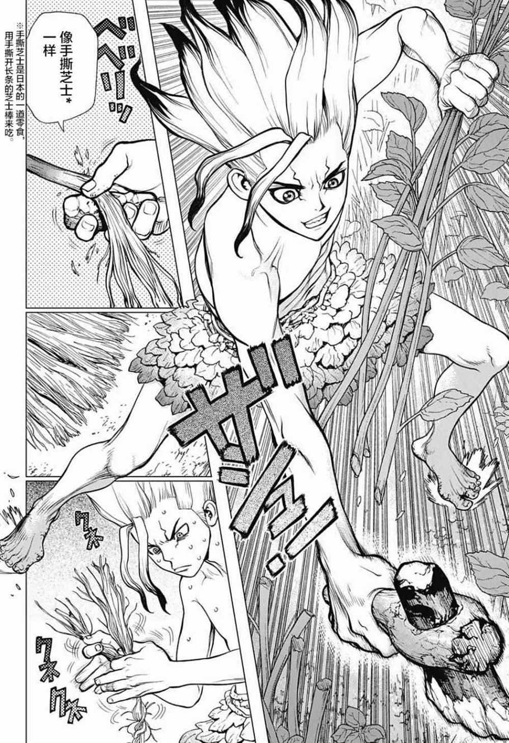 石纪元（Dr.Stone） 第13话 第13页