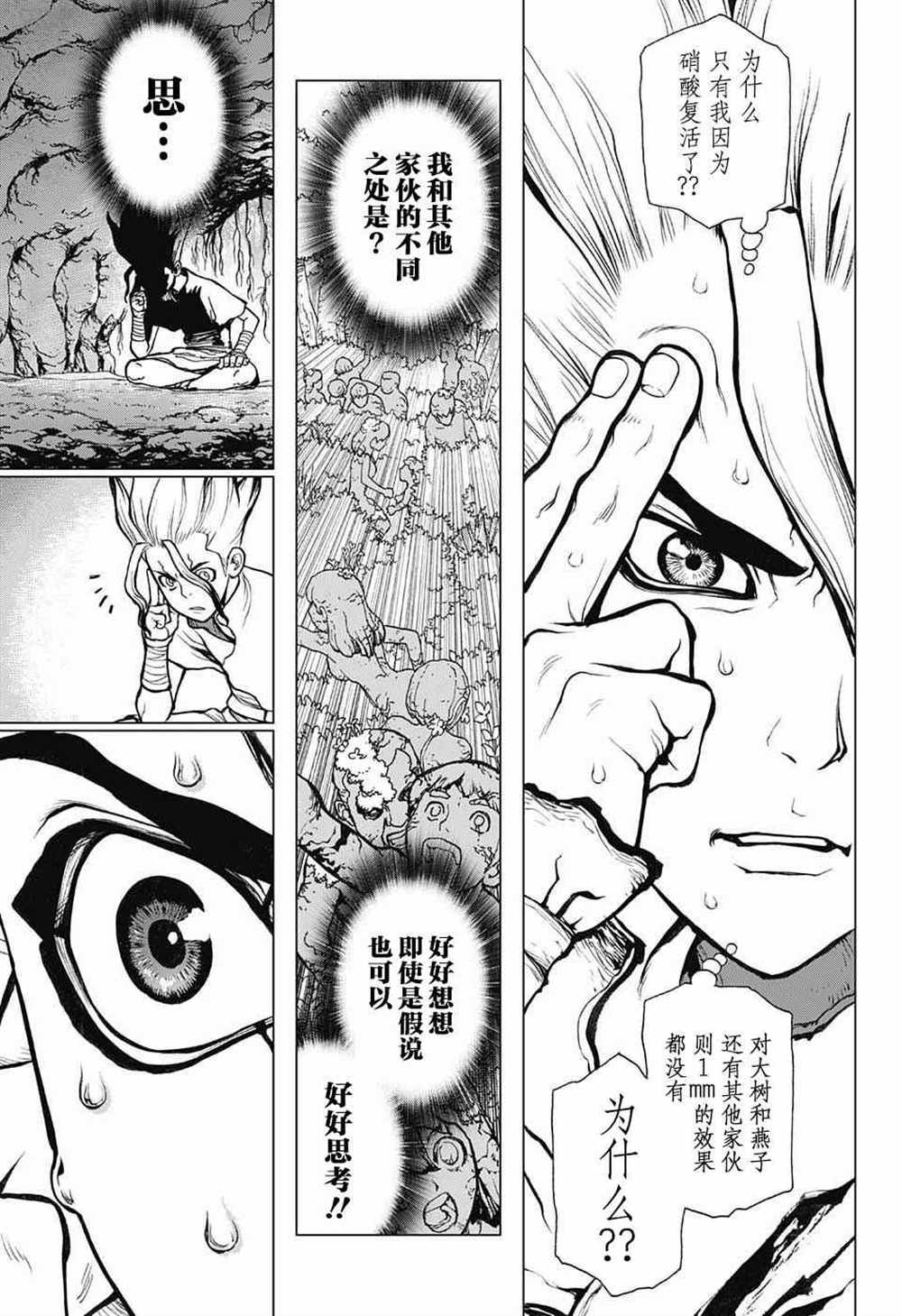 石纪元（Dr.Stone） 第14话 第12页