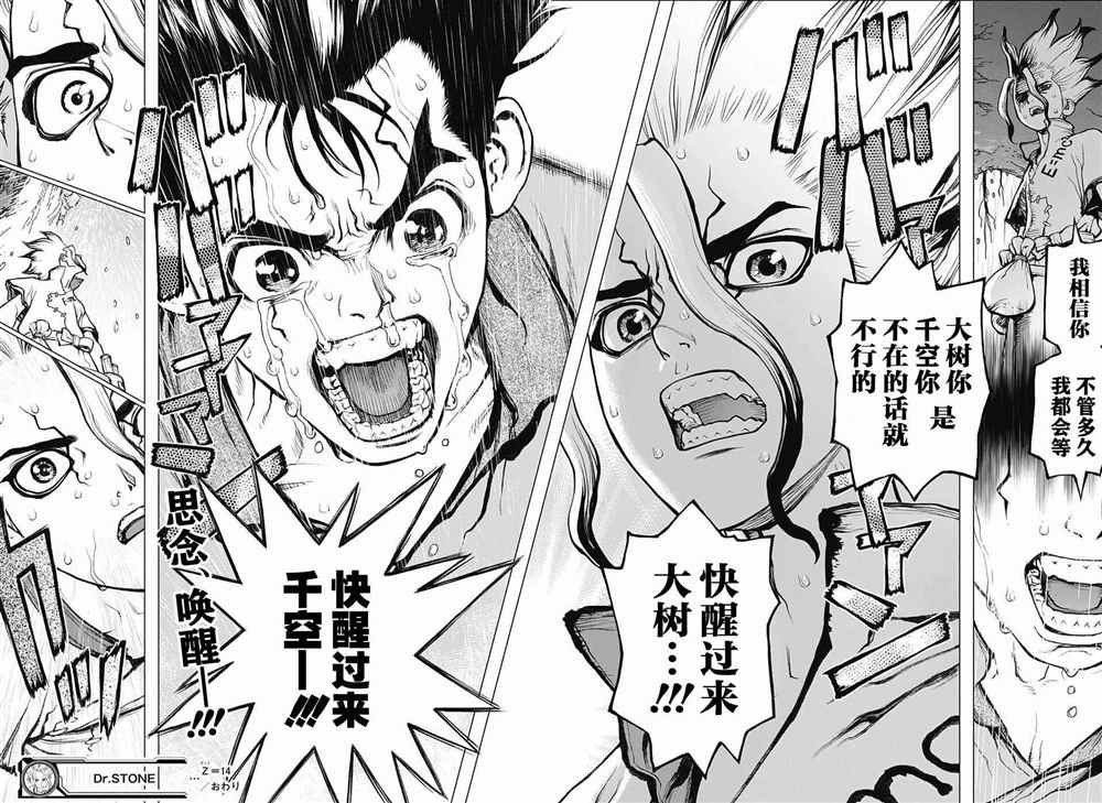 石纪元（Dr.Stone） 第14话 第17页