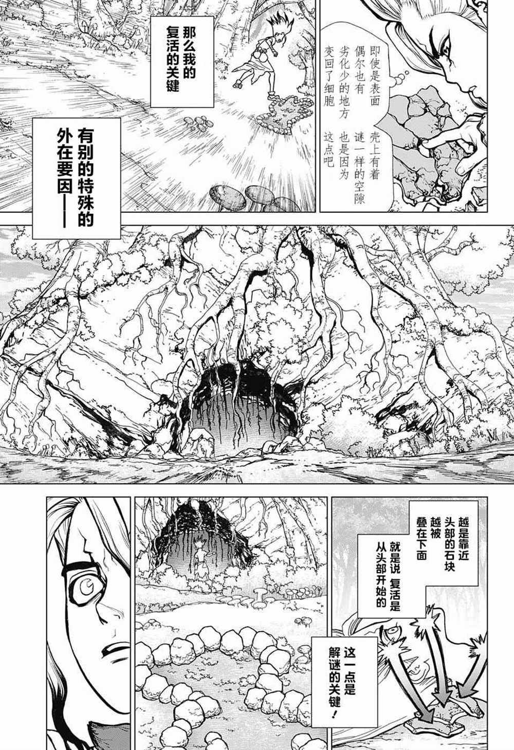 石纪元（Dr.Stone） 第14话 第8页