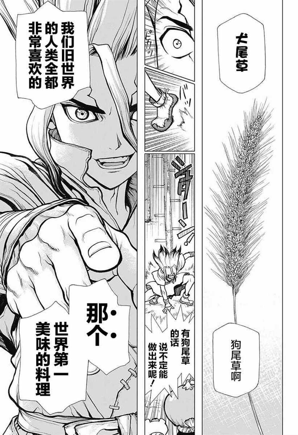 石纪元（Dr.Stone） 第22话 第9页