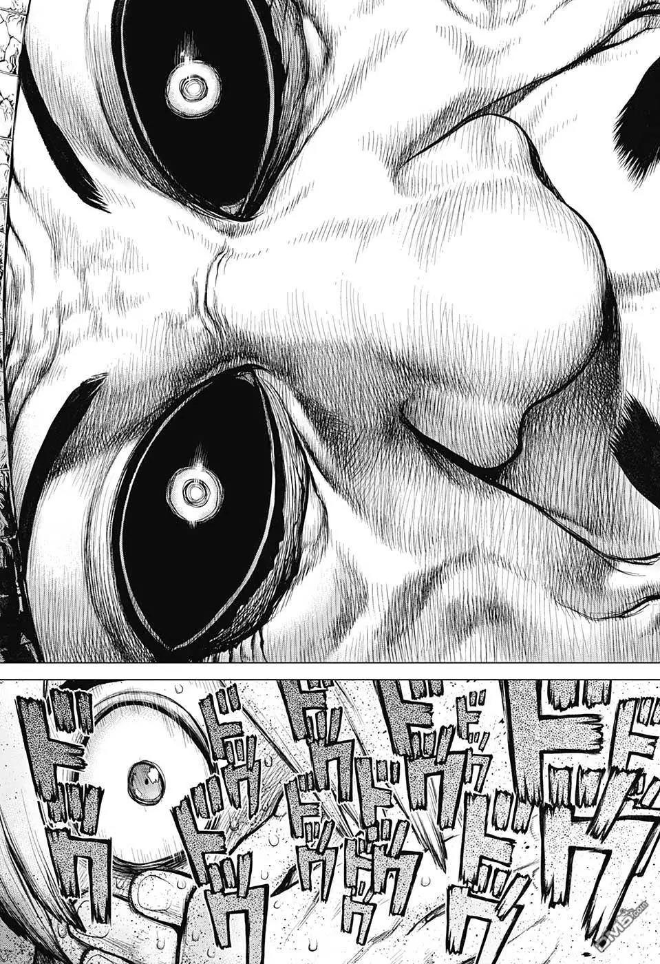石纪元（Dr.Stone） 第108话 第16页