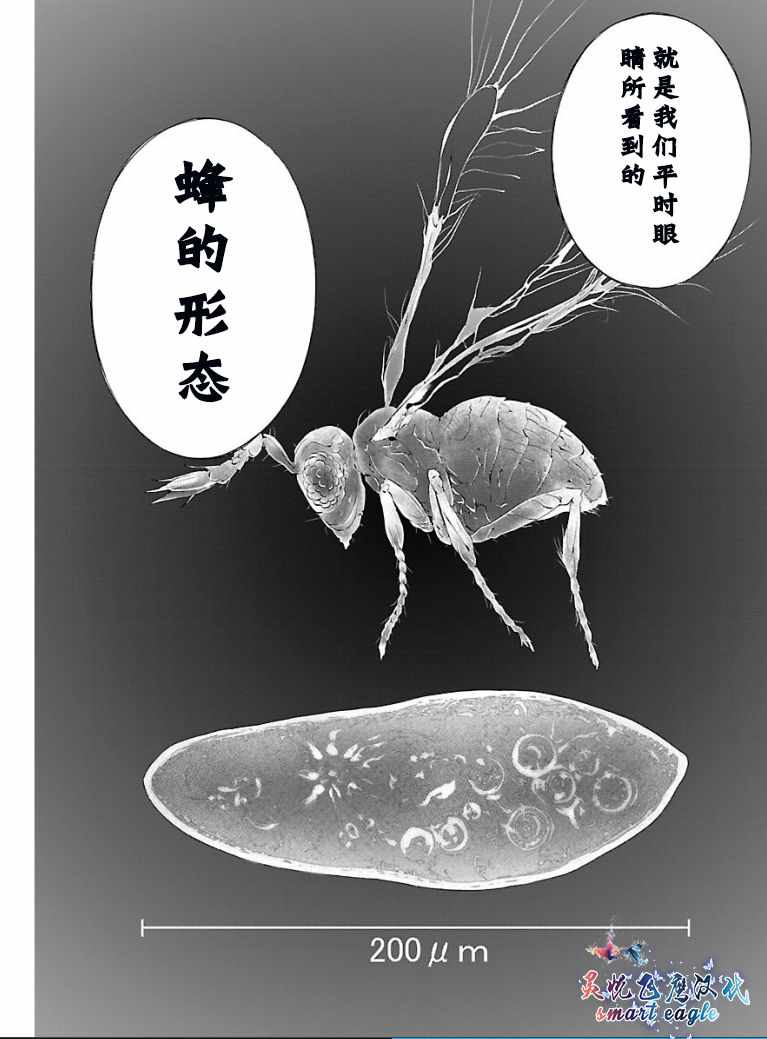 姬乃的乐园~himenospia~ 第2话 第4页