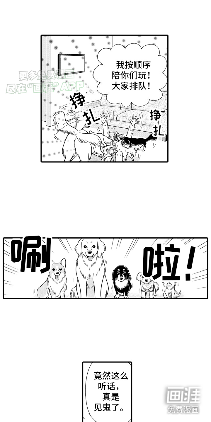 毛茸茸的偏爱 第6话 第16页