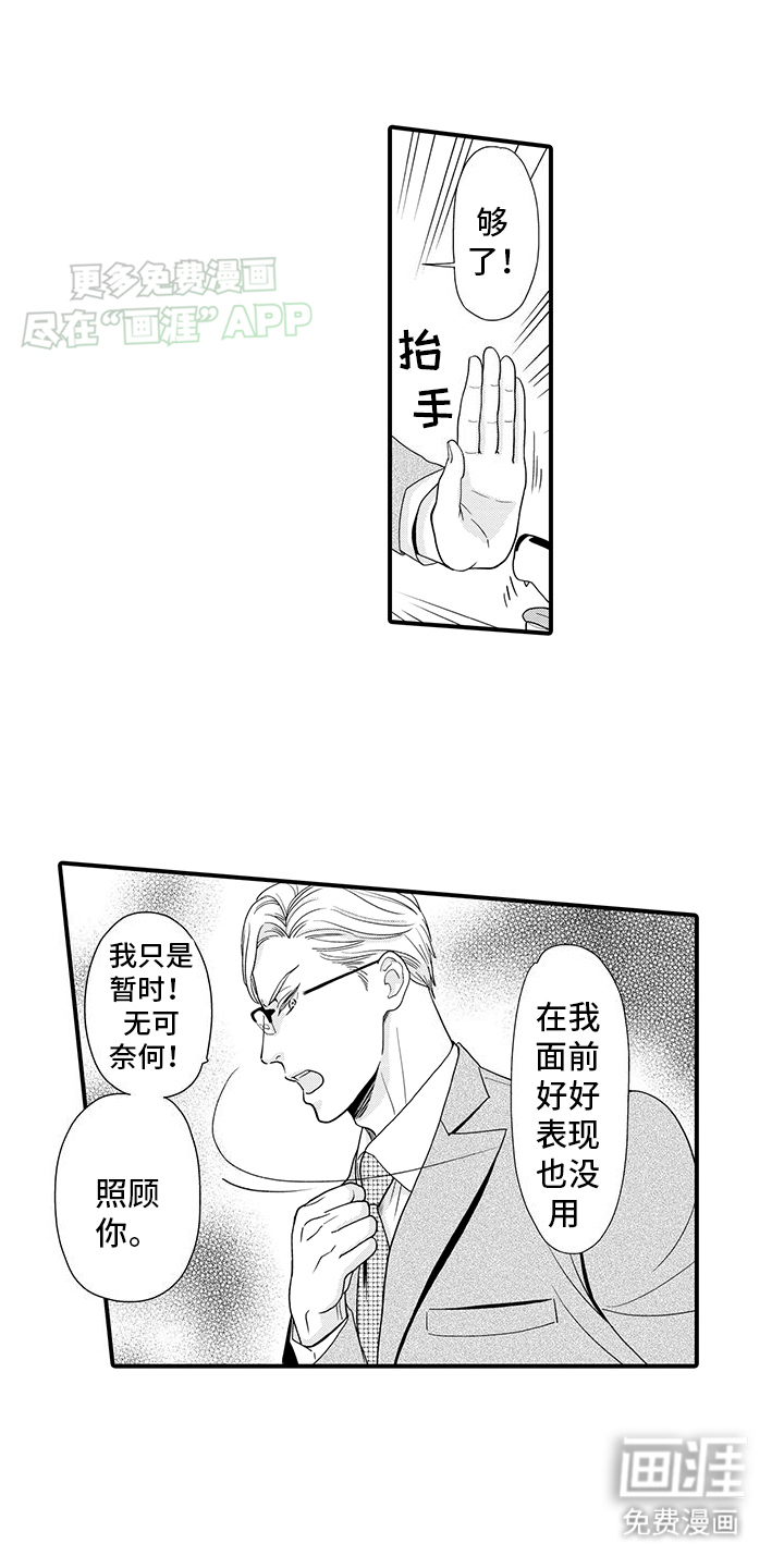 毛茸茸的偏爱 第1话 第11页