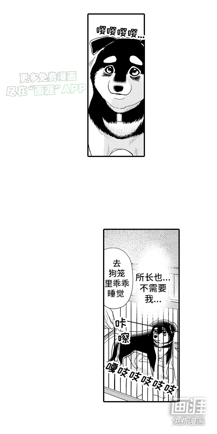 毛茸茸的偏爱 第1话 第12页