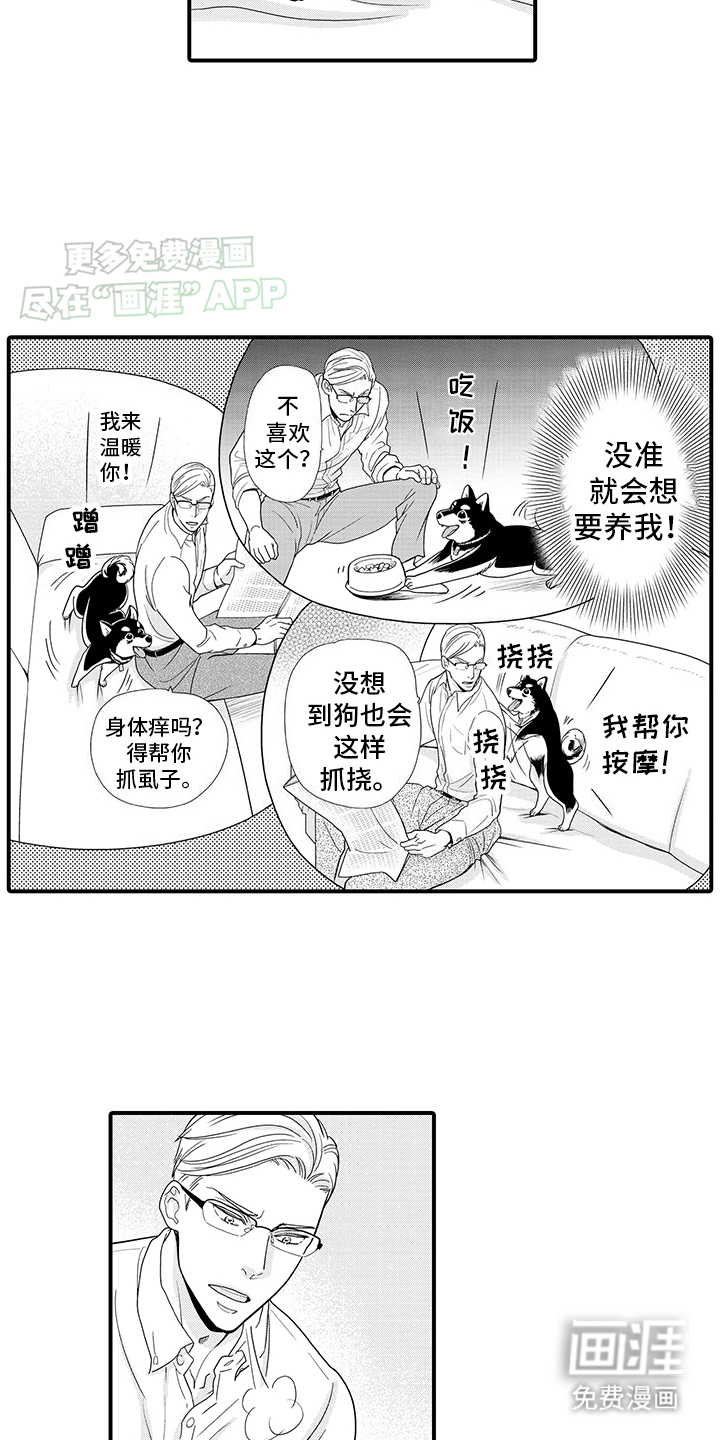 毛茸茸的偏爱 第1话 第14页