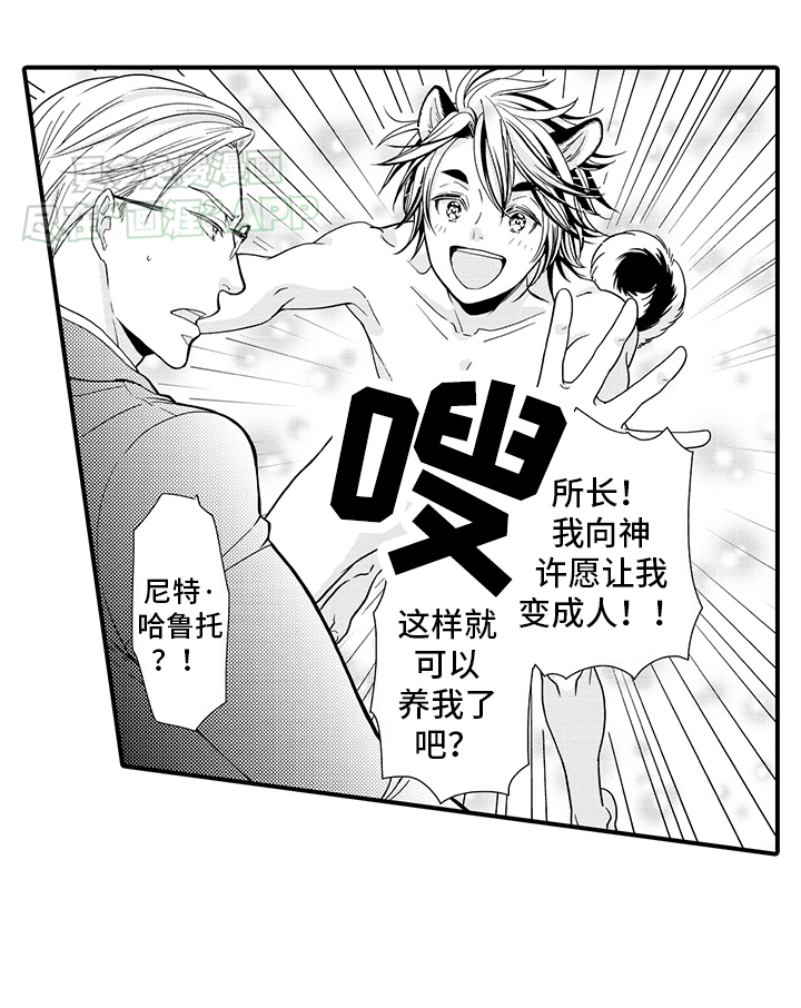 毛茸茸的偏爱 第2话 第9页