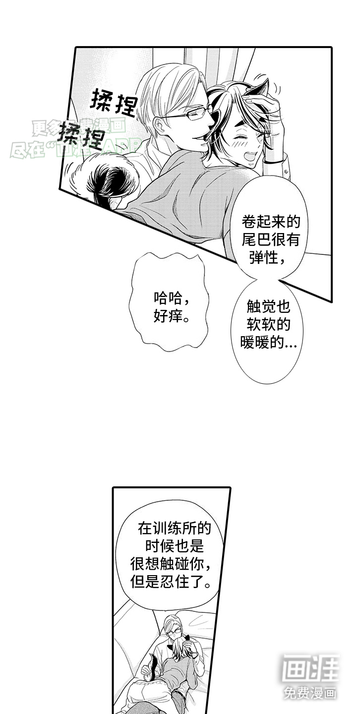 毛茸茸的偏爱 第3话 第1页