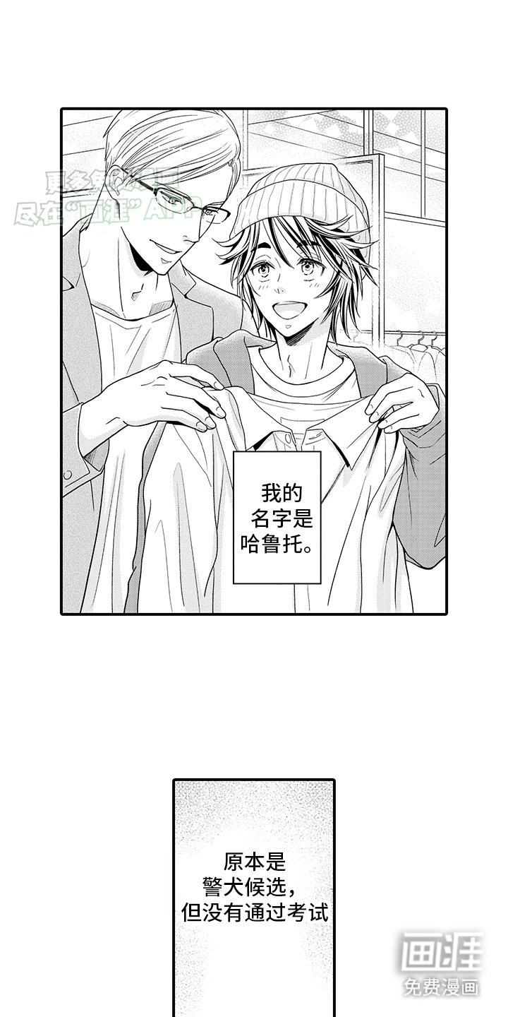 毛茸茸的偏爱 第5话 第1页
