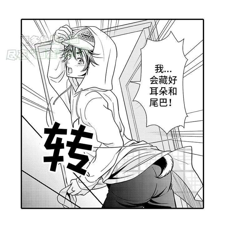 毛茸茸的偏爱 第6话 第15页