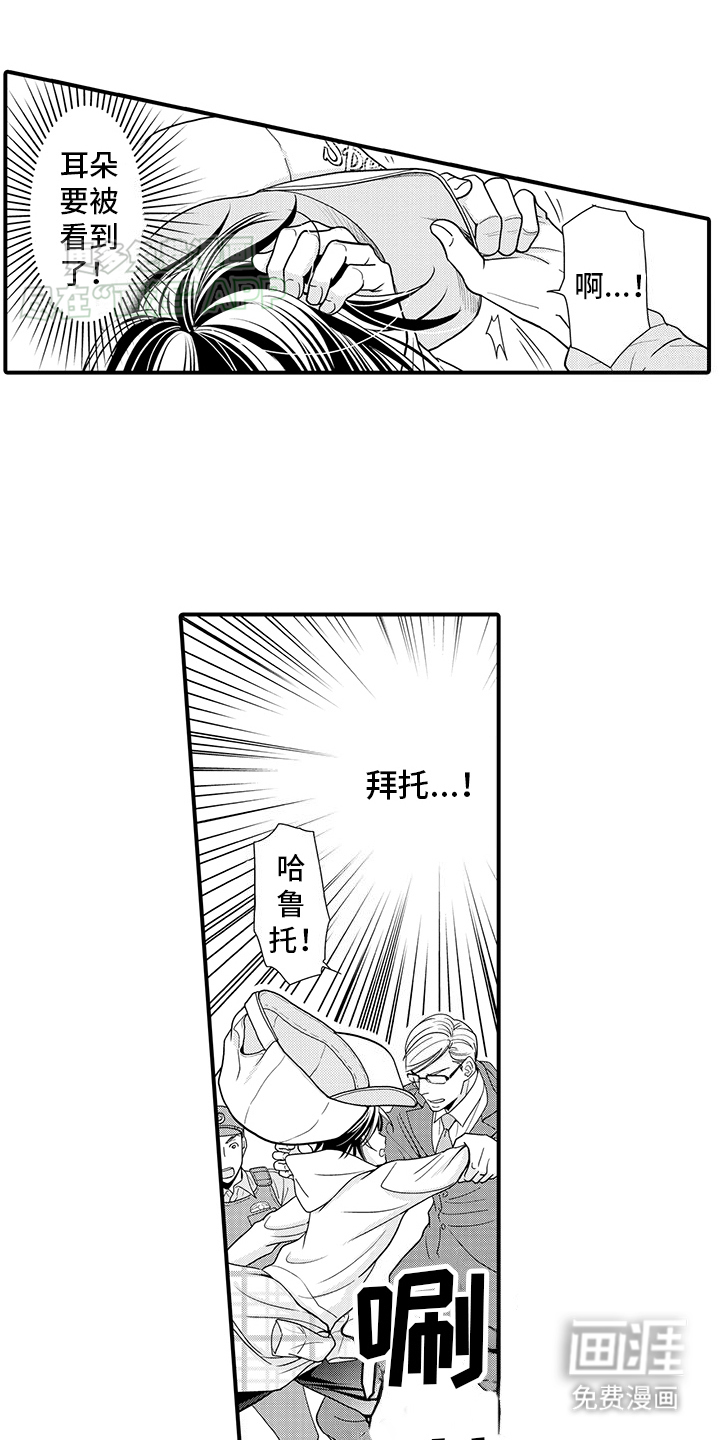 毛茸茸的偏爱 第8话 第2页