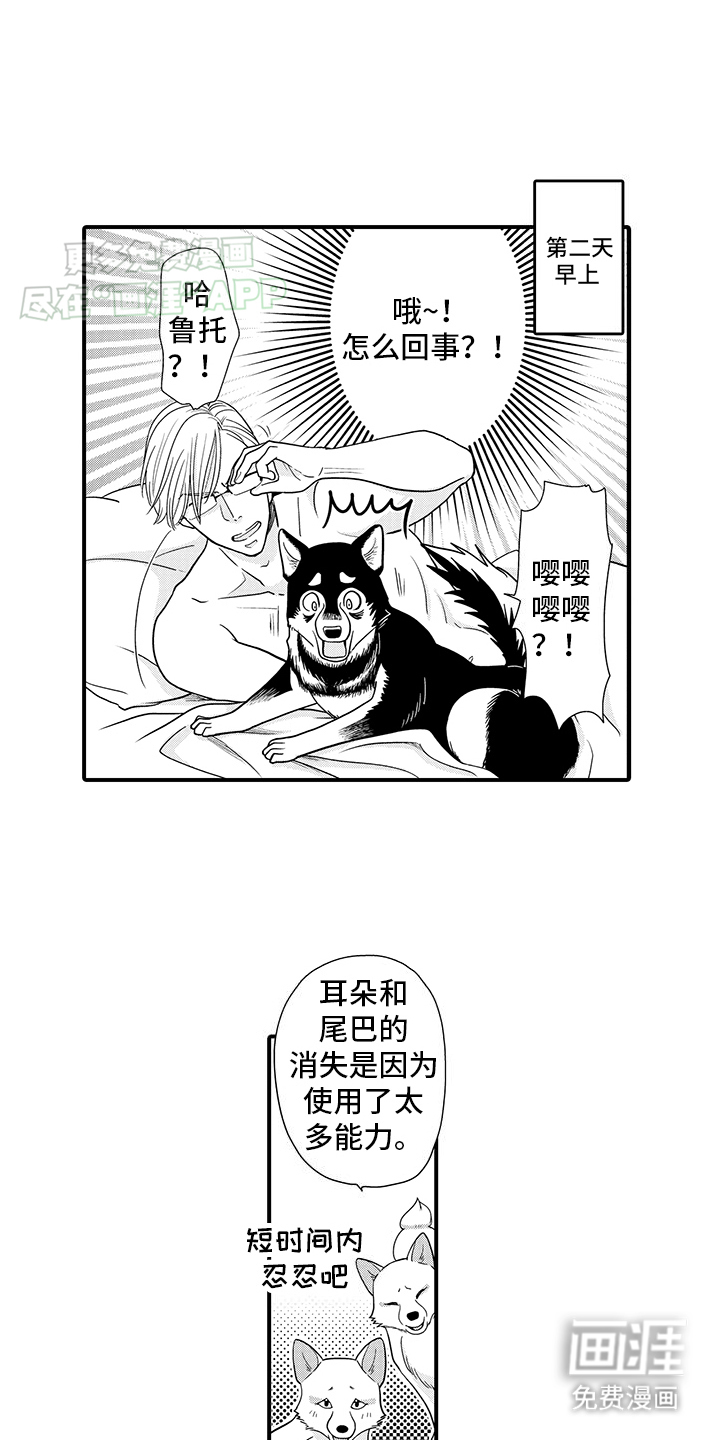 毛茸茸的偏爱 第8话 第15页