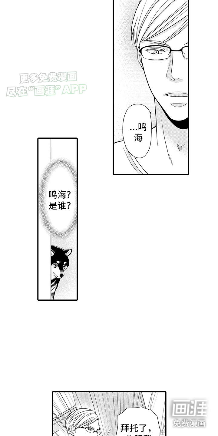 毛茸茸的偏爱 第9话 第12页