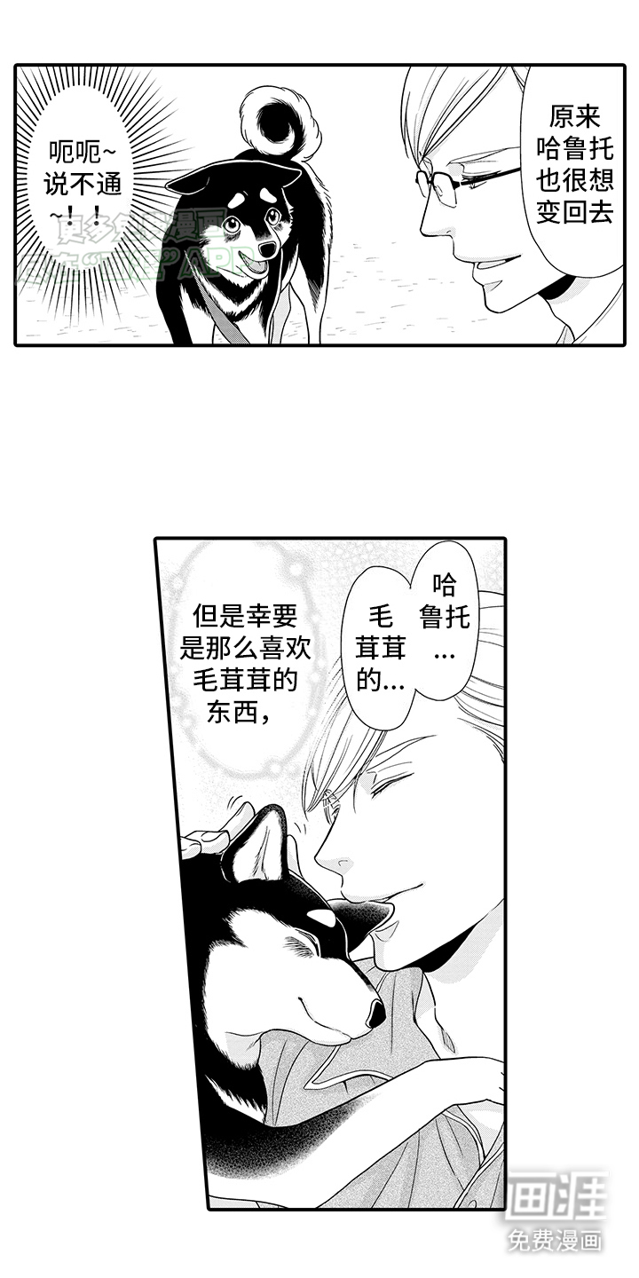 毛茸茸的偏爱 第9话 第3页