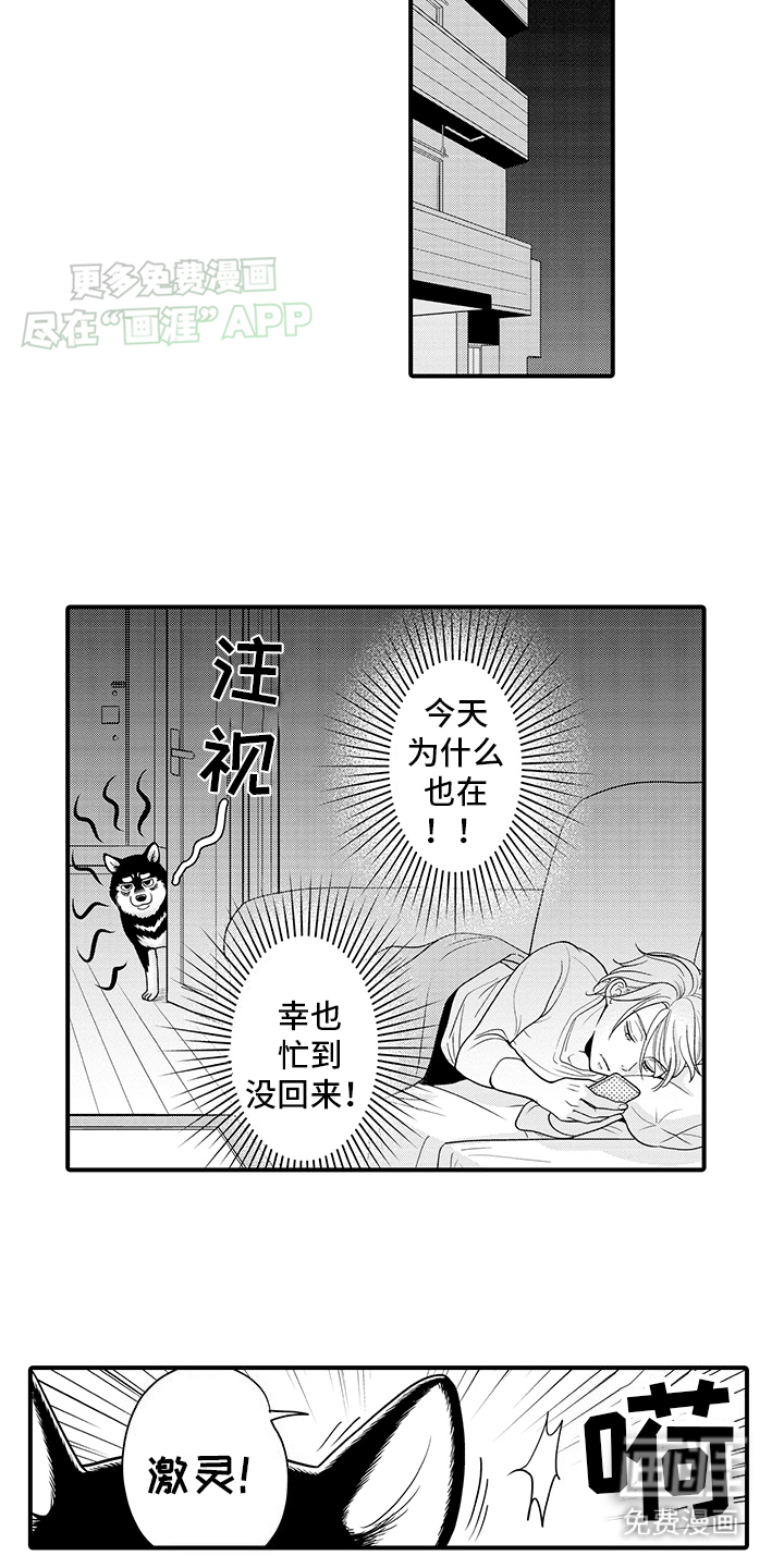毛茸茸的偏爱 第10话 第9页