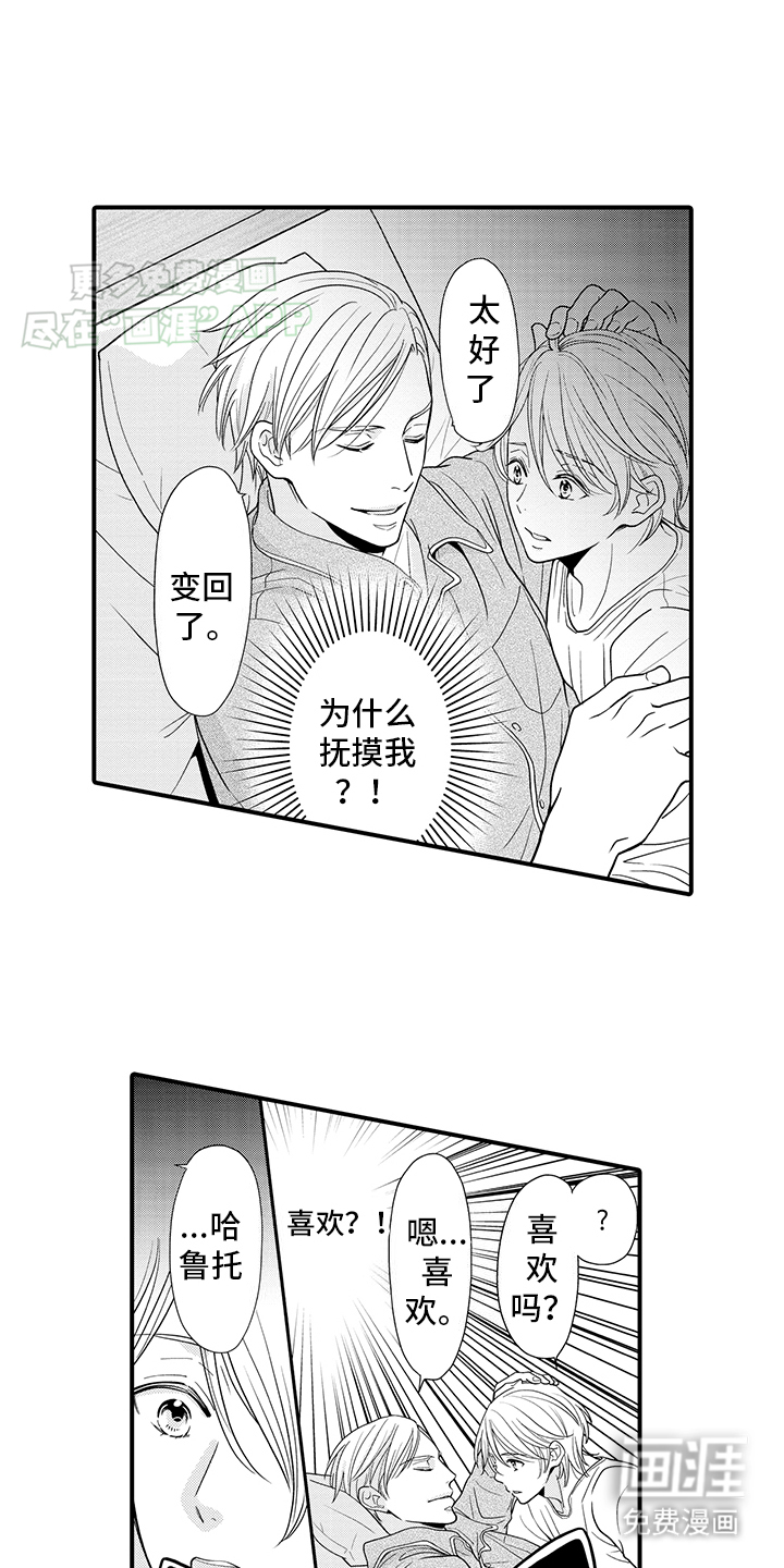 毛茸茸的偏爱 第11话 第1页