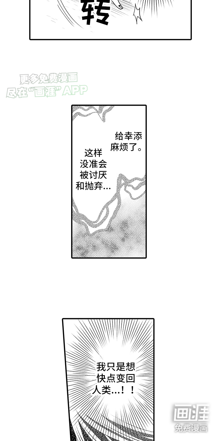 毛茸茸的偏爱 第11话 第13页