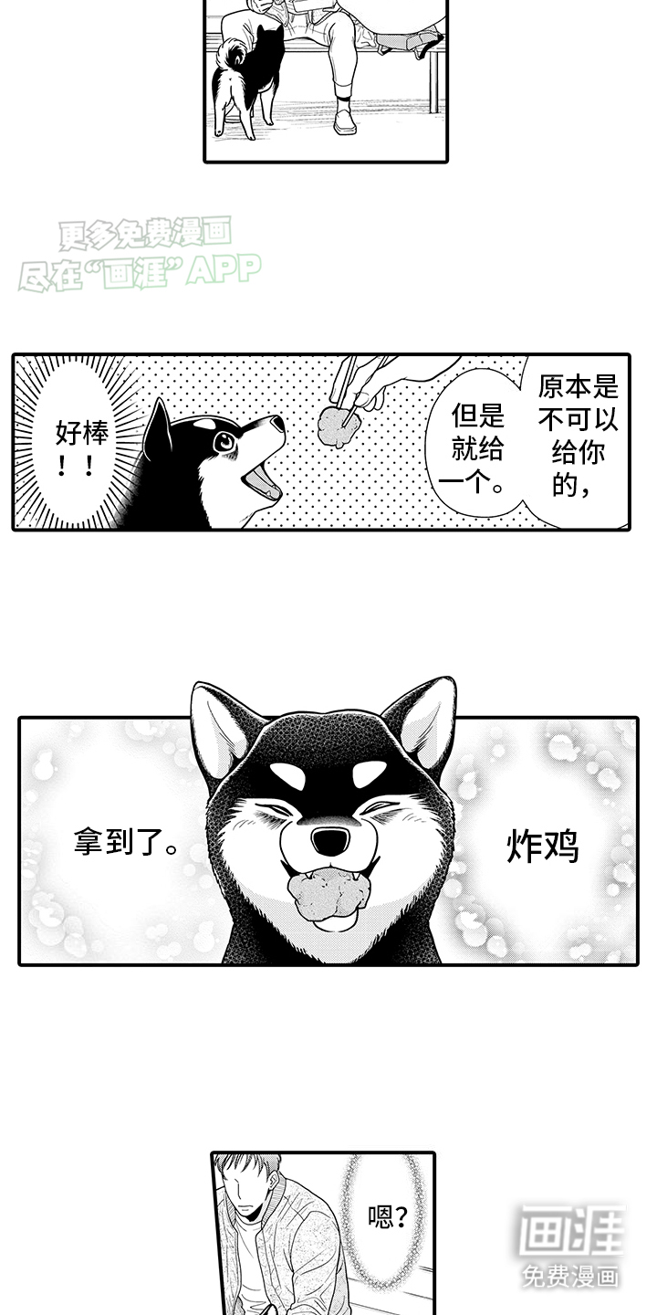 毛茸茸的偏爱 第11话 第18页