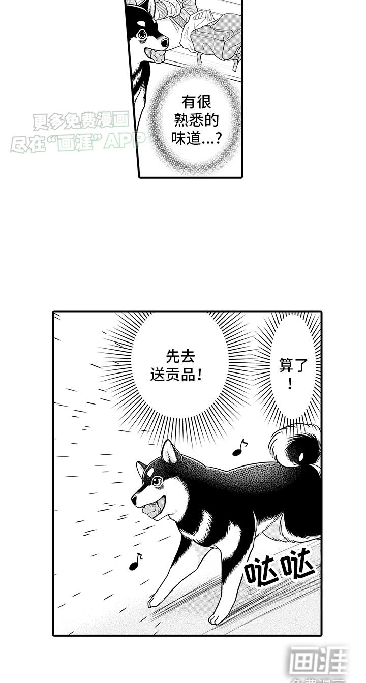 毛茸茸的偏爱 第11话 第19页