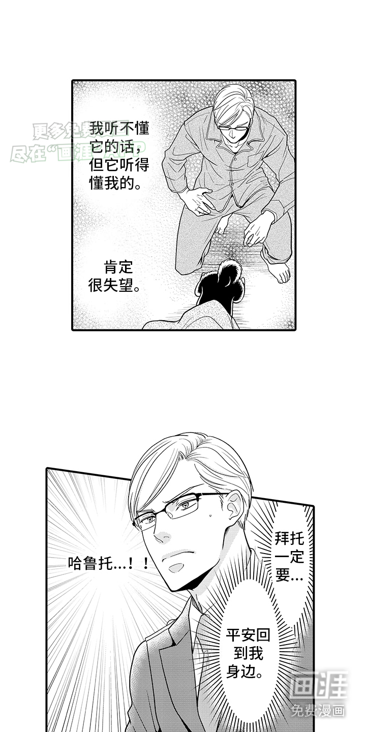 毛茸茸的偏爱 第12话 第4页