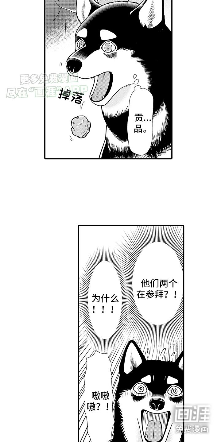 毛茸茸的偏爱 第13话 第2页