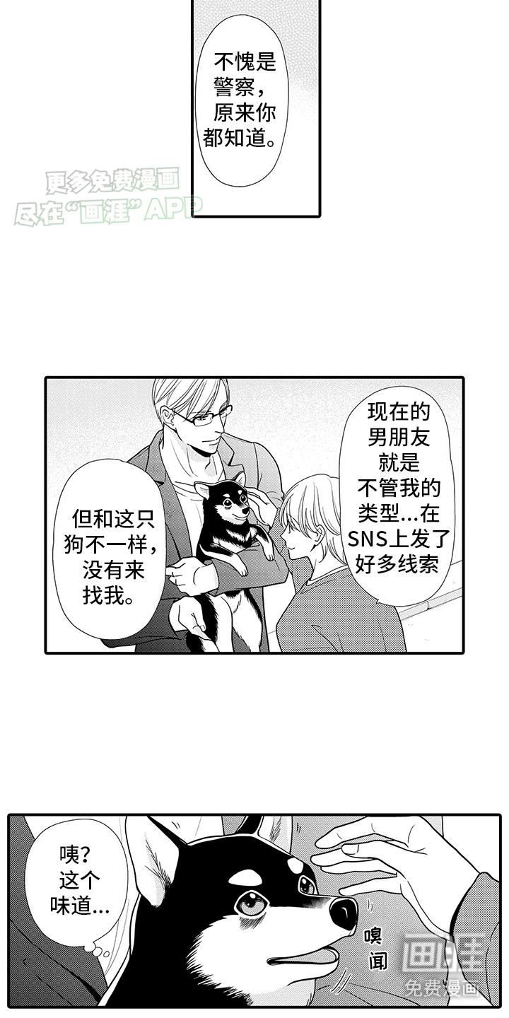 毛茸茸的偏爱 第13话 第13页