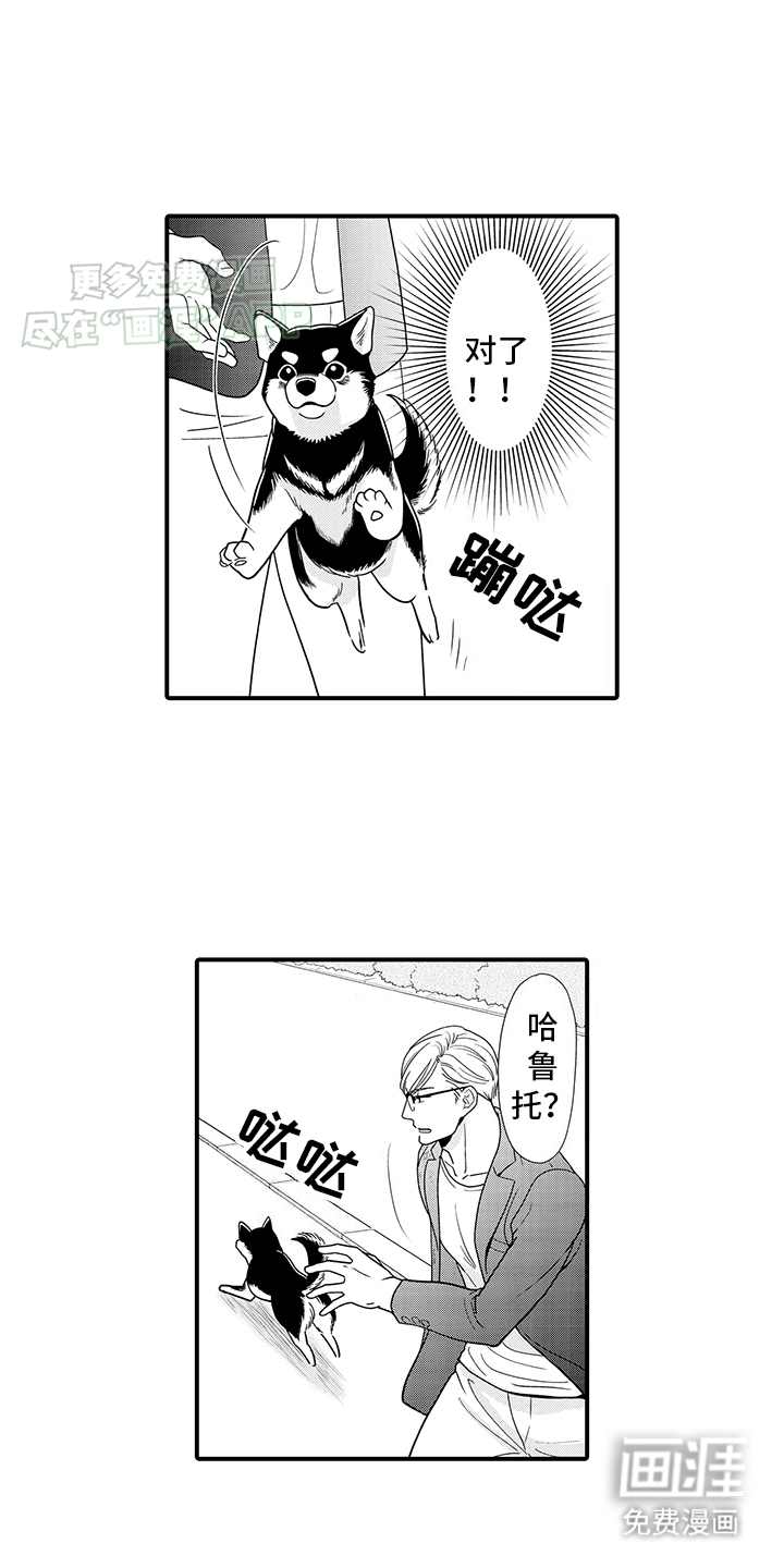 毛茸茸的偏爱 第13话 第14页